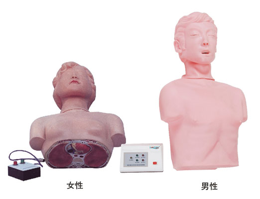 半身心肺復蘇訓練模擬人 KAS/CPR170