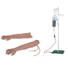  高級手臂靜脈穿刺及肌肉注射訓練模型（可換外皮）KAR/S2  