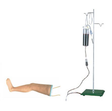  高級靜脈輸液腿模型KAR/S16  