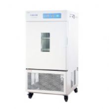 一恒恒溫恒濕箱LHS-250HC-II 無氟制冷（專業型）/平衡式