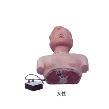 半身心肺復蘇訓練模擬人KAS/CPR170 簡易型