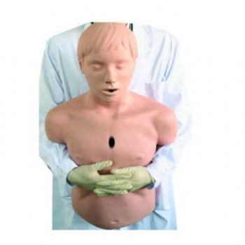  高級成人氣道梗塞及CPR模型KAR/CPR155  