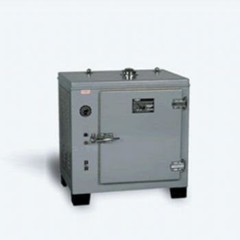 上海恒字電熱恒溫干燥箱GZX-DH.600-S 