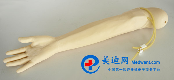 益聯 高級靜脈穿刺及肌肉注射手臂模型  KAS-S2